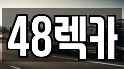 제주 제주시 내도동 렉카, 특수렉카, 차량탁송, 견인운송