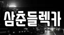 제주 제주시 노형동 렉카, 특수렉카, 차량탁송, 견인운송