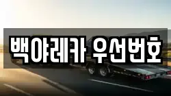 백야레카 우선번호