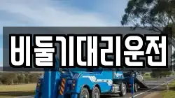 비둘기대리운전