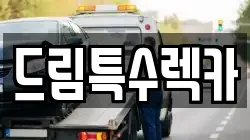 드림특수렉카