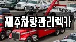 제주 제주시 삼도일동 렉카, 특수렉카, 차량탁송, 견인운송