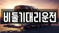 비둘기대리운전