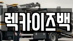 렉카이즈백