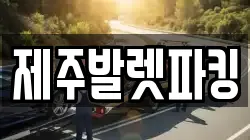 제주발렛파킹
