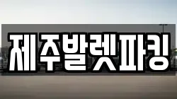 제주발렛파킹