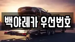 백야레카 우선번호