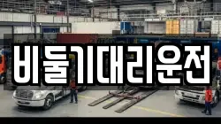 비둘기대리운전