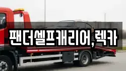 팬더셀프캐리어,렉카