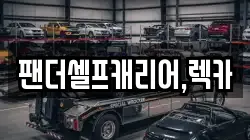 팬더셀프캐리어,렉카