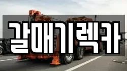 갈매기렉카