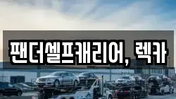 팬더셀프캐리어, 렉카