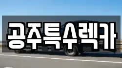 공주특수렉카