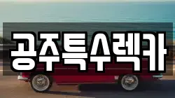 공주특수렉카