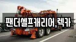 팬더셀프캐리어,렉카