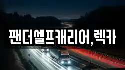 팬더셀프캐리어,렉카