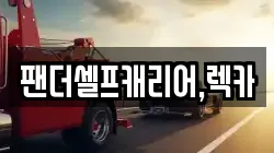 팬더셀프캐리어,렉카