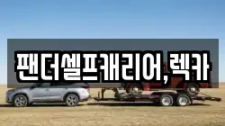 팬더셀프캐리어,렉카