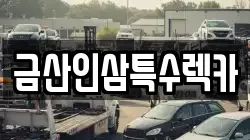 금산인삼특수렉카