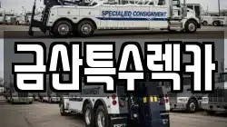 금산특수렉카