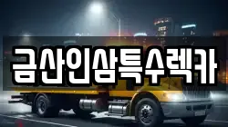금산인삼특수렉카