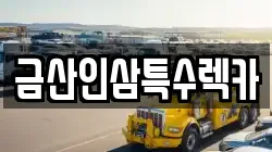 금산인삼특수렉카