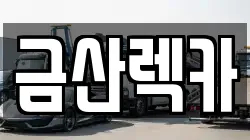 금산렉카