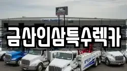 금산인삼특수렉카