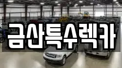 금산특수렉카