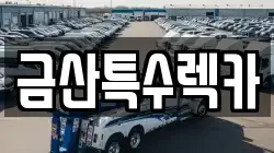 금산특수렉카