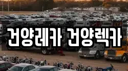 건양레카 건양렉카