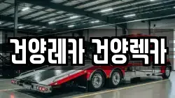 건양레카 건양렉카