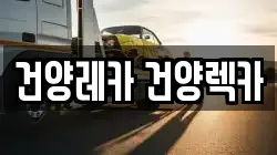 건양레카 건양렉카