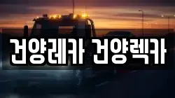 건양레카 건양렉카
