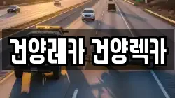 건양레카 건양렉카