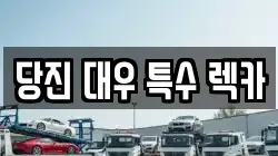 당진 대우 특수 렉카