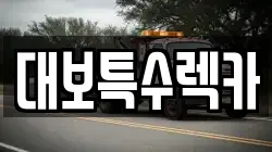 대보특수렉카