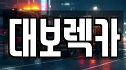 대보렉카
