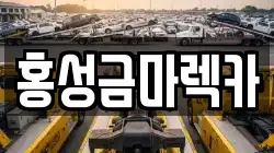 홍성금마렉카
