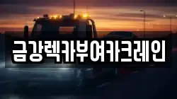 금강렉카부여카크레인