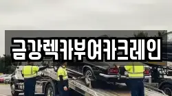 금강렉카부여카크레인