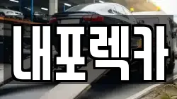 내포렉카