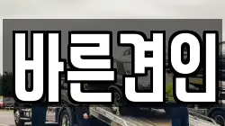 바른견인