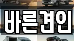 바른견인