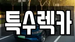 특수렉카
