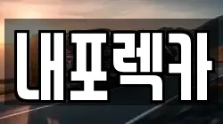 내포렉카