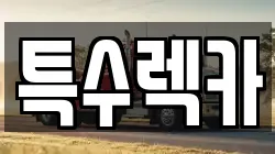 특수렉카