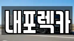 내포렉카
