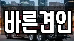 바른견인