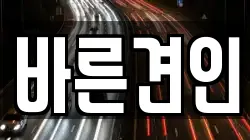 바른견인